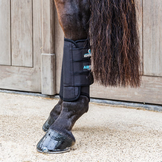 Kentucky hind boots 3D spacer technology