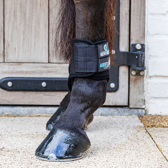 Kentucky Eventing Boots Skin Friend Hind Short 