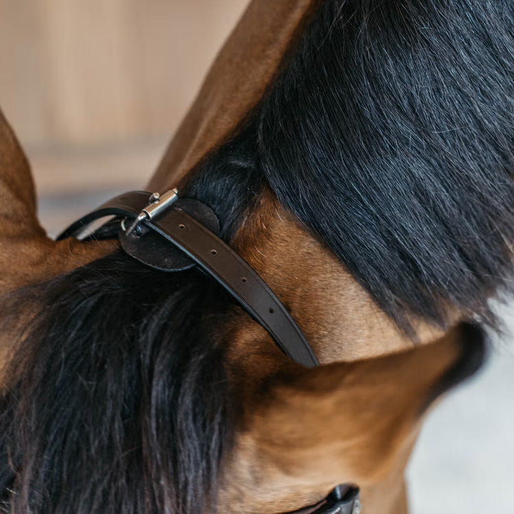 Minimalist horse bridle with adjustable fit