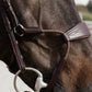 Elastic noseband bridle for horse training