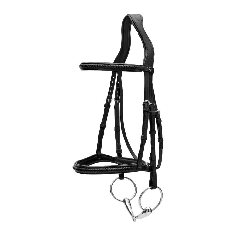 Elegant equestrian bridle without flash