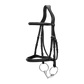 Elegant equestrian bridle without flash