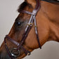 Leather bridle with flash noseband for horses