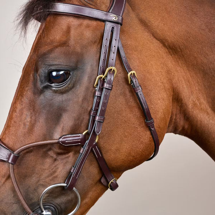 Hybrid noseband bridle for horse training