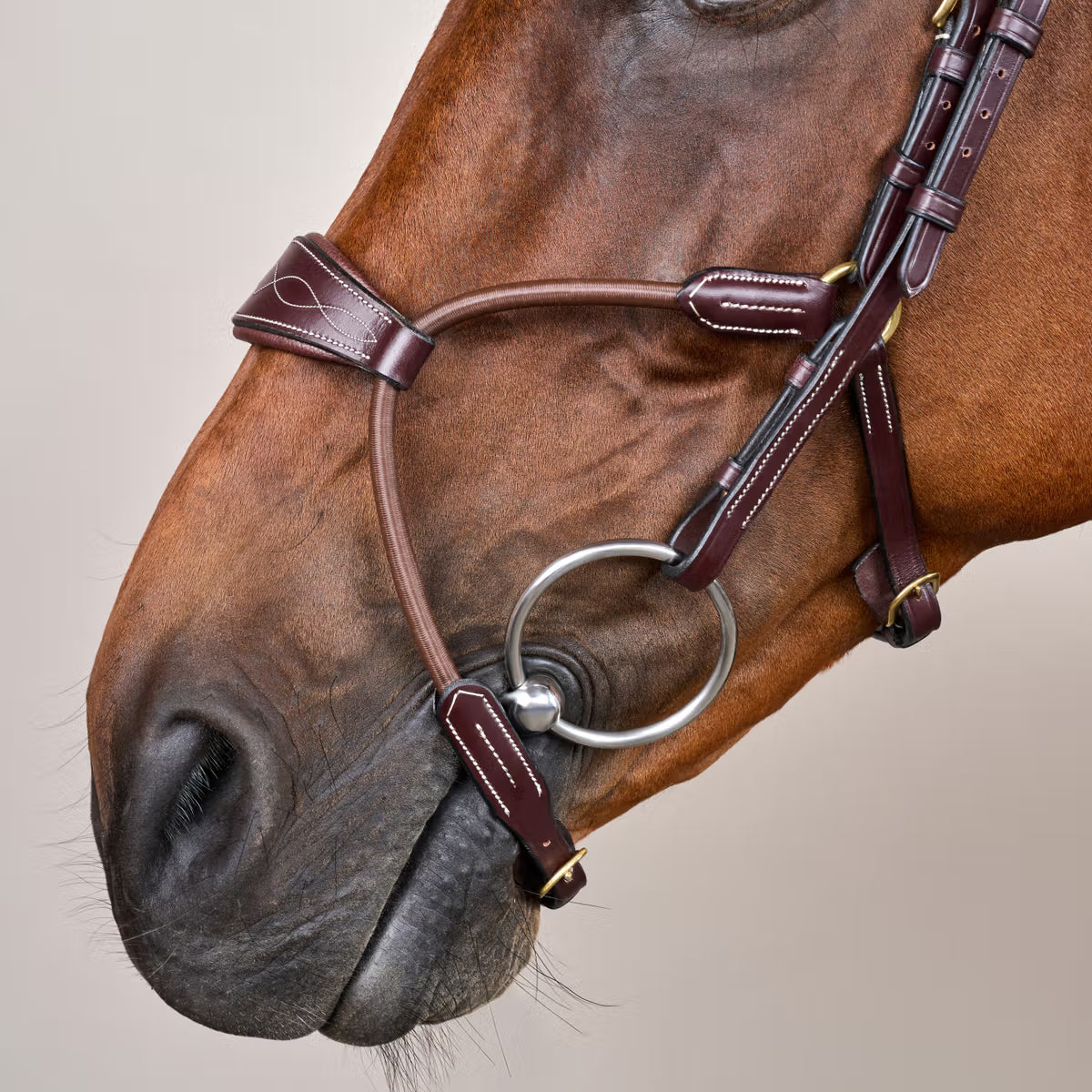 Anatomical bridle reducing pressure points