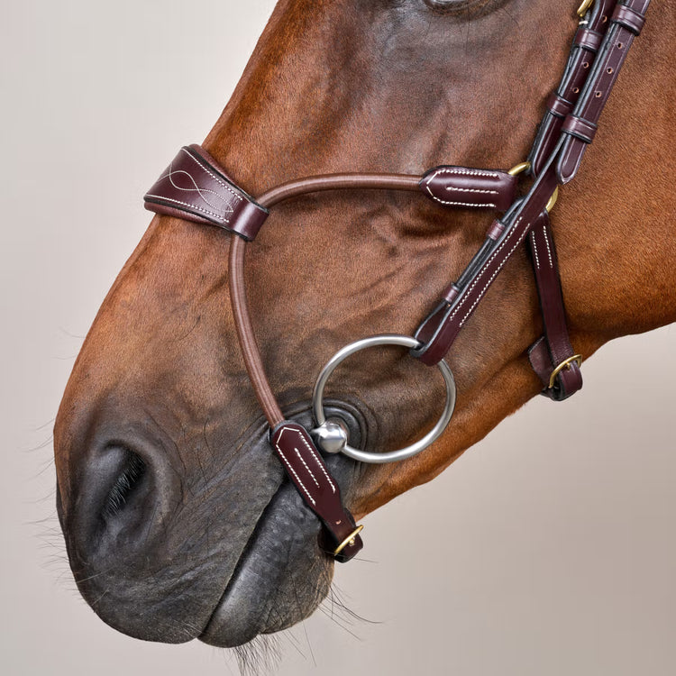 Anatomical bridle reducing pressure points