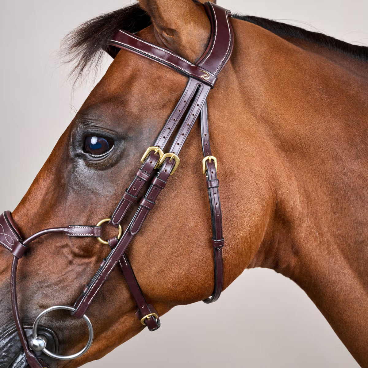Anatomical bridle reducing pressure points