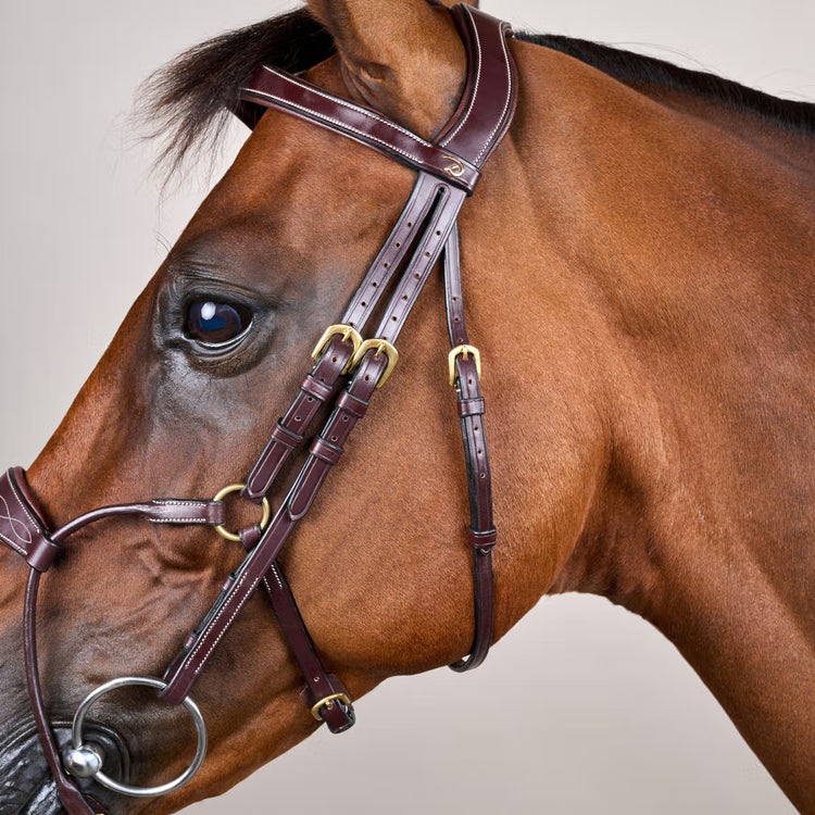 Anatomical bridle reducing pressure points