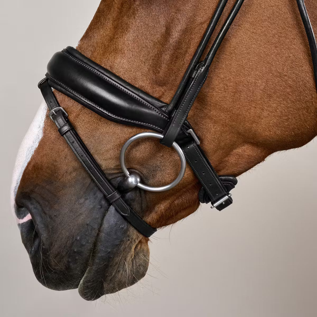 Premium leather dressage bridle for competition