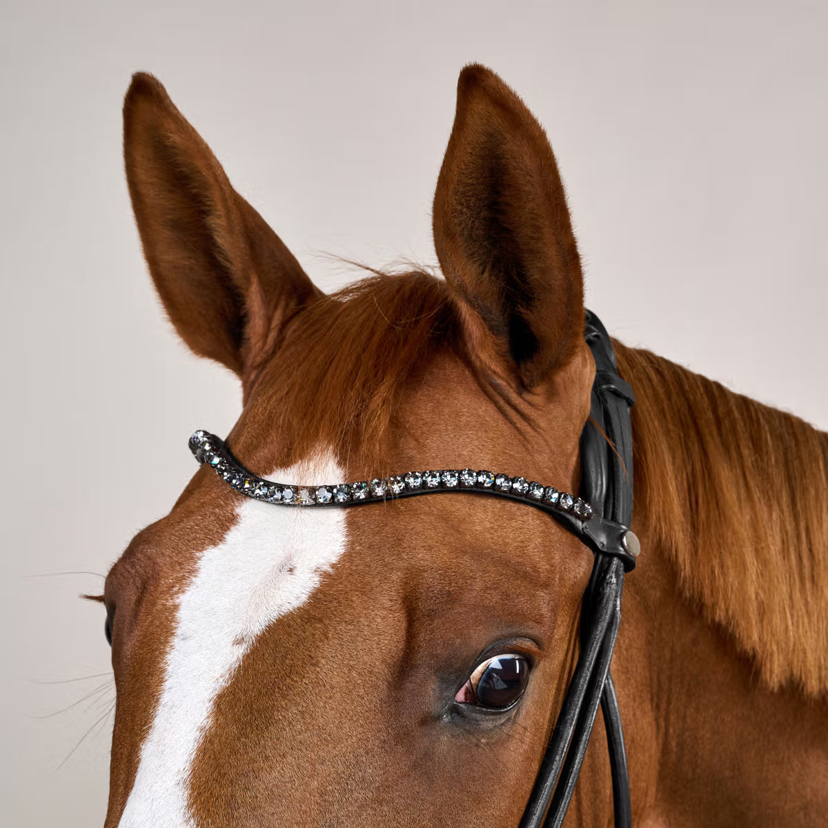 Dressage bridle with wide crank noseband