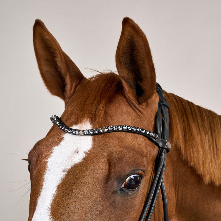Dressage bridle with wide crank noseband
