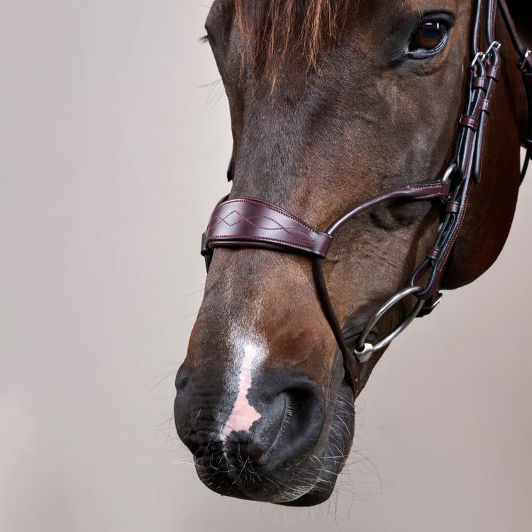 Anatomical bridle reducing pressure points