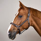 durable leather head collar for daily handling and show