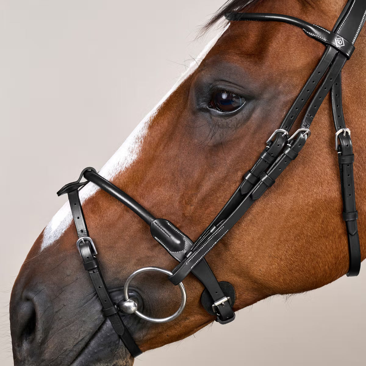Lightweight horse bridle with clear vision
