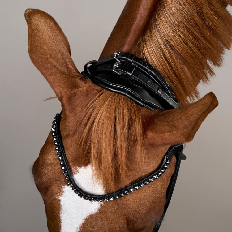 Anatomical horse bridle for sensitive horses