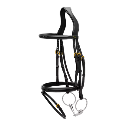 Premium equestrian bridle Dy&