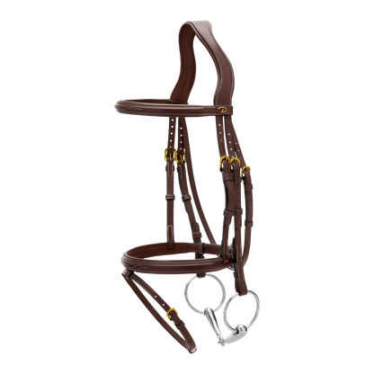 Classic riding bridle with flash noseband