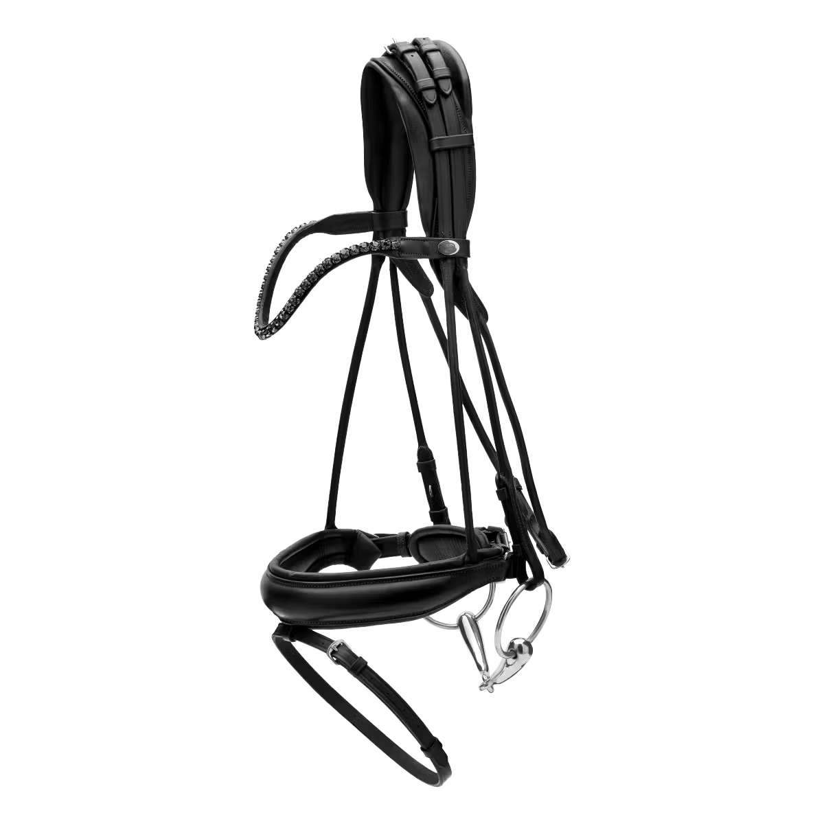 Elegant horse bridle round stitched leather