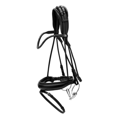 Elegant horse bridle round stitched leather