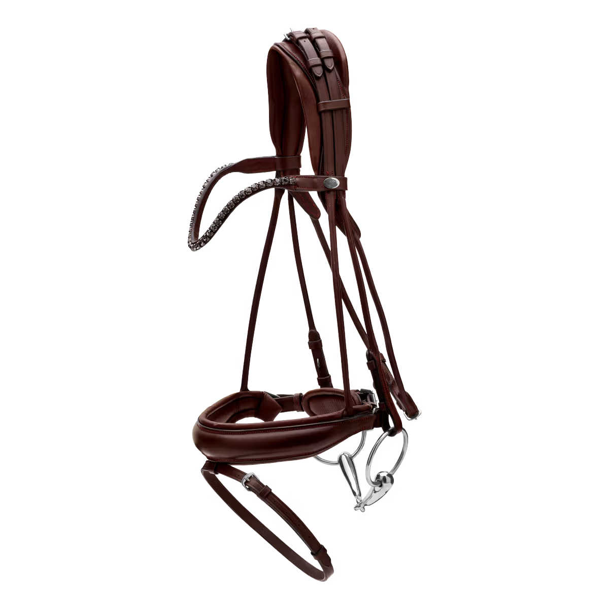 Anatomical bridle for dressage performance