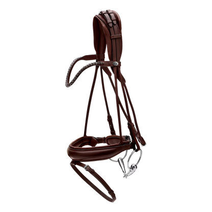 Anatomical bridle for dressage performance