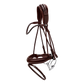 Anatomical bridle for dressage performance