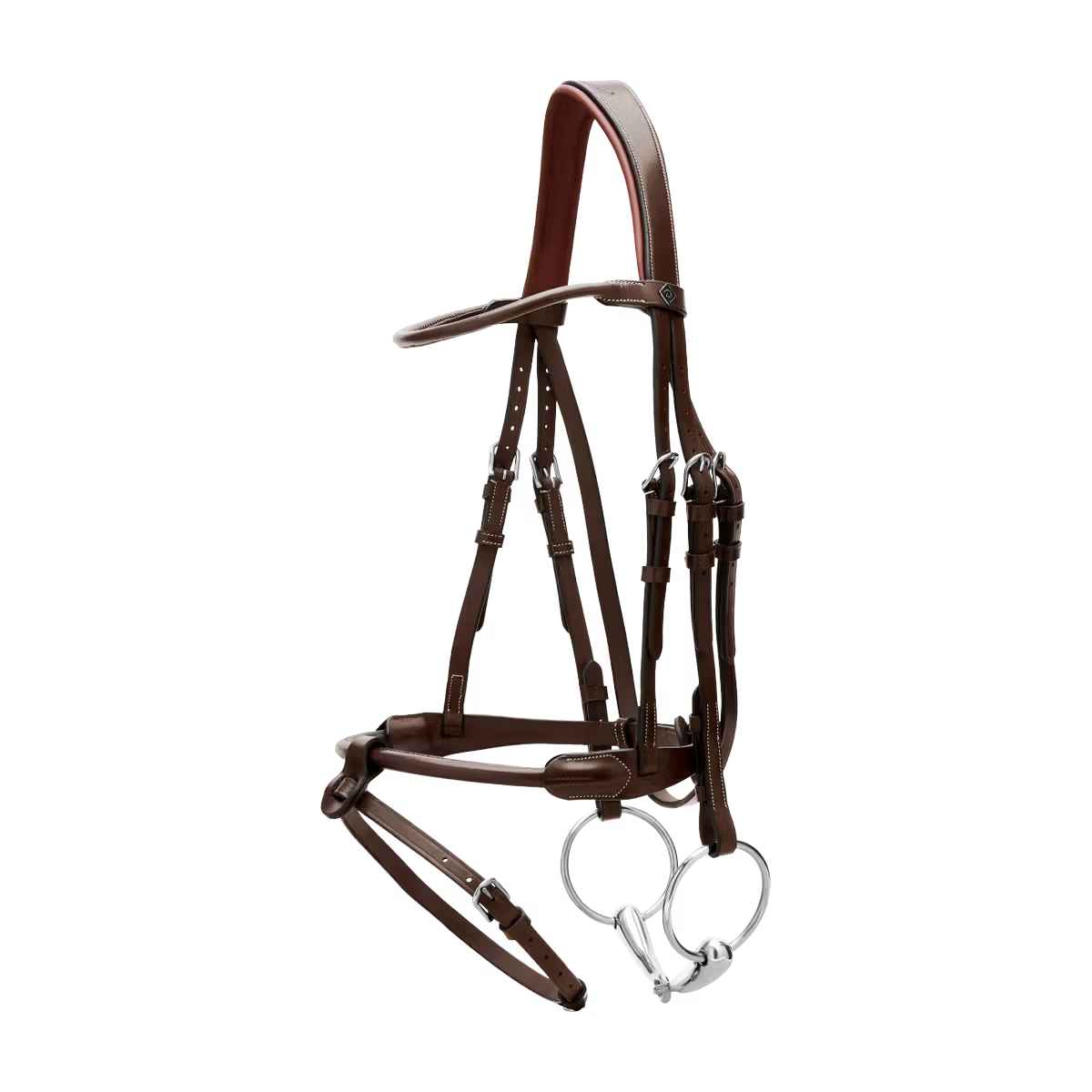 Elegant equestrian bridle round stitched leather