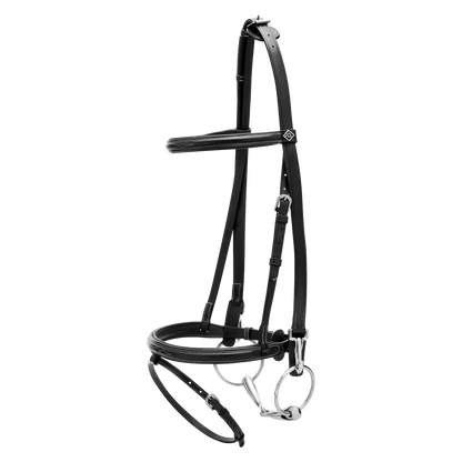 Leather training bridle for everyday horse training