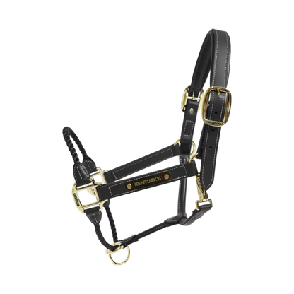 硬绳控制仿皮笼头