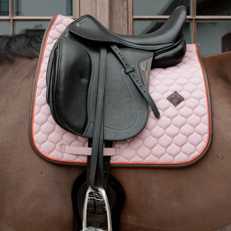dressage saddle pad with neon piping