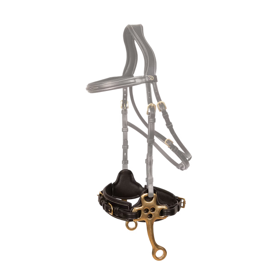 premium leather hackamore for horses needing gentle, bitless control