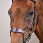 Comfortable horse bridle with ergonomic fit