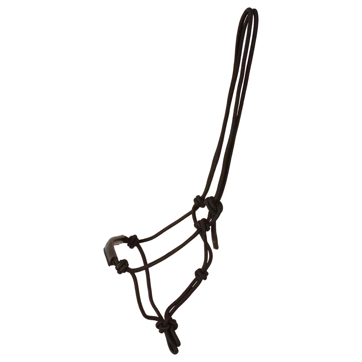 Horse rope halter with pressure points