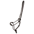 Horse rope halter with pressure points