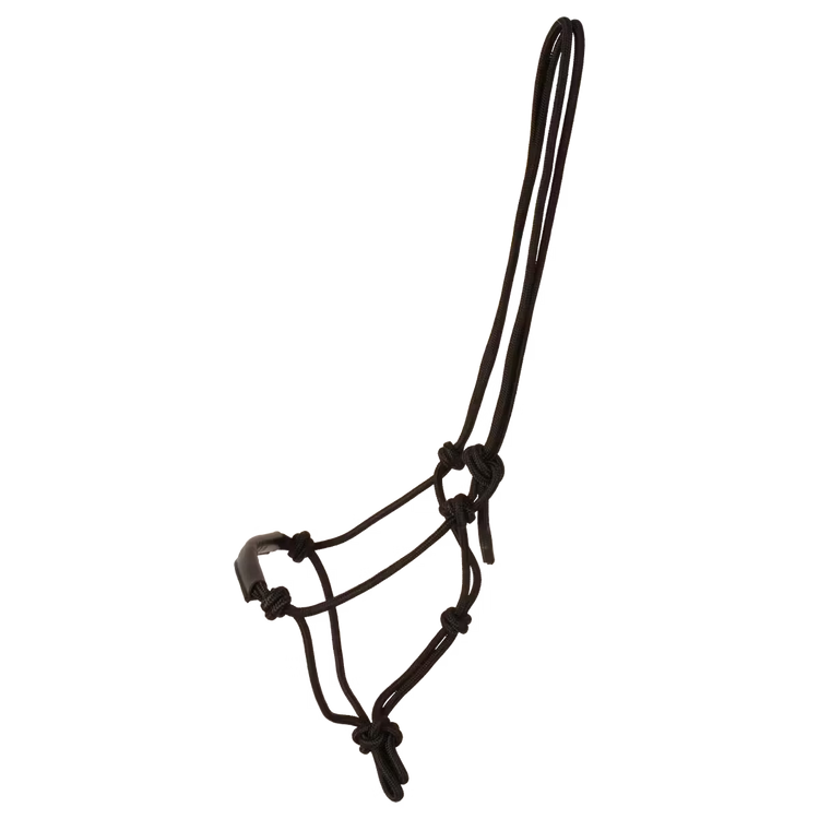 Horse rope halter with pressure points