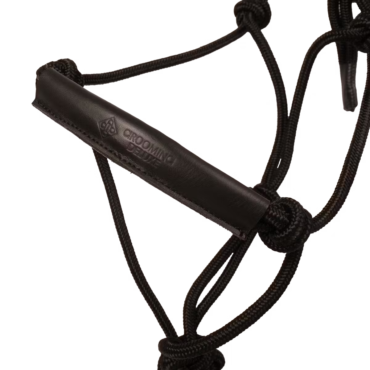 Horse wearing rope halter during training