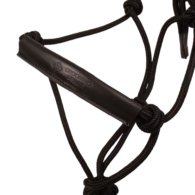 Horse wearing rope halter during training