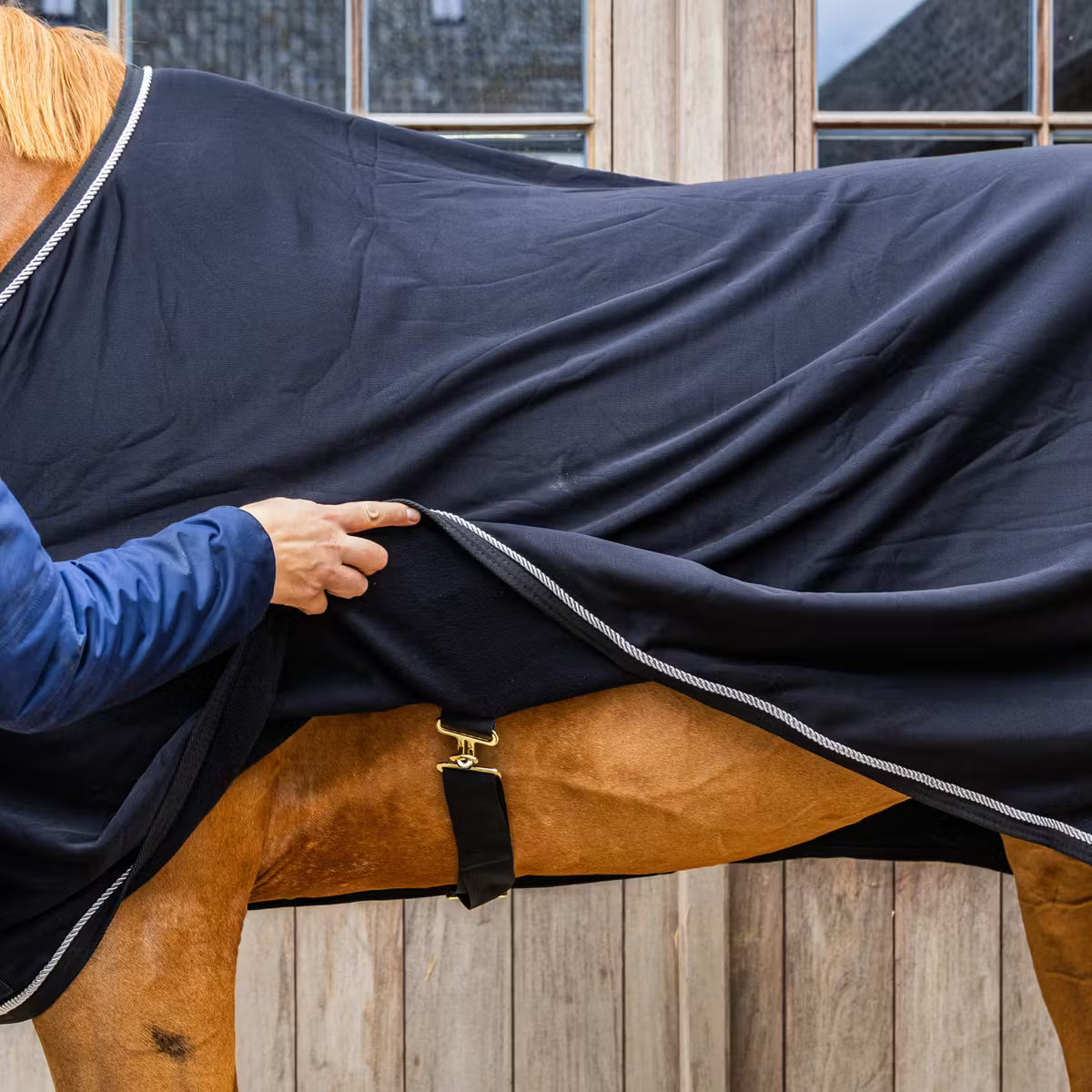 Prize giving fleece rug for horses