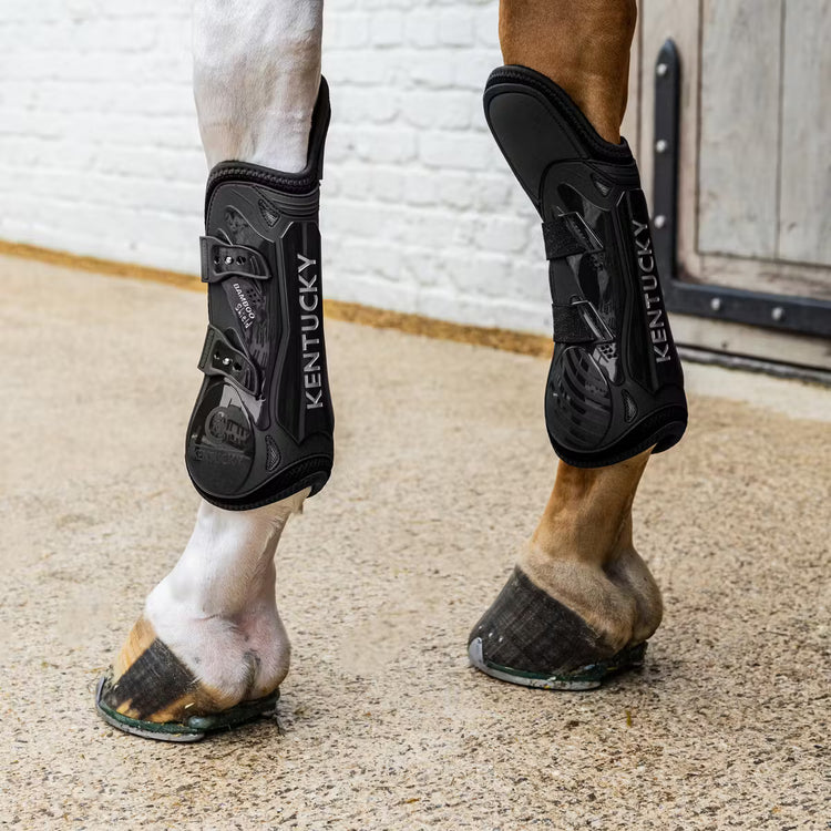 Kentucky tendon boots elastic knee protection for horses