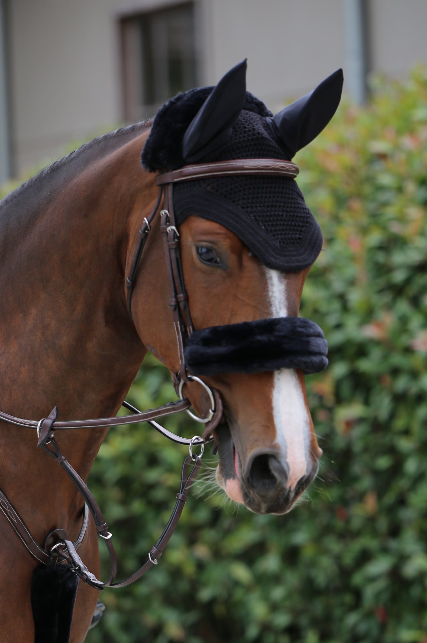 Fly Veil Wellington – EquiZone Online