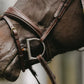 Show jumping bridle with cream fancy stitch