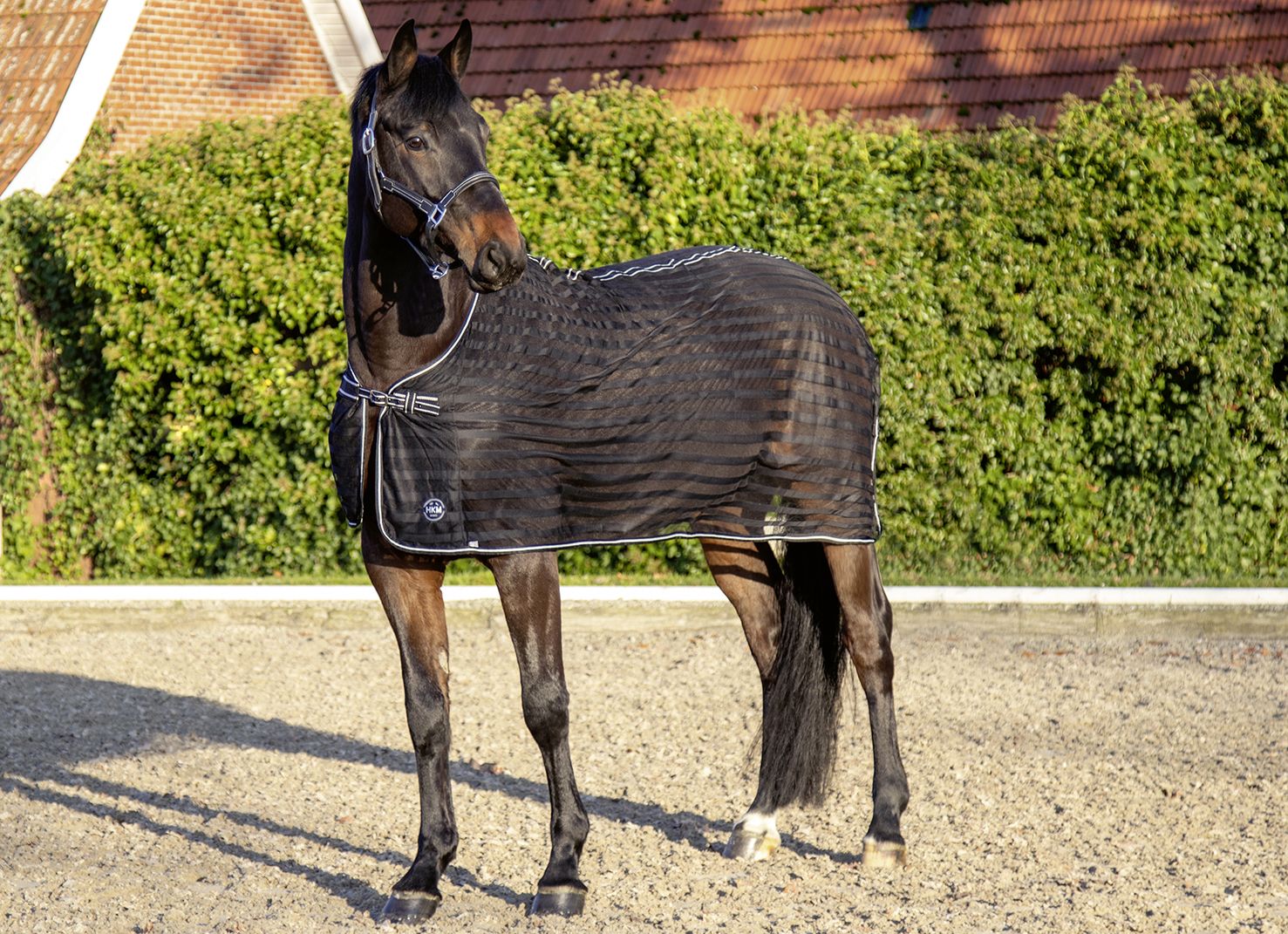 Cheap Horse fly rug for transport