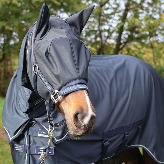 Horse fly protection