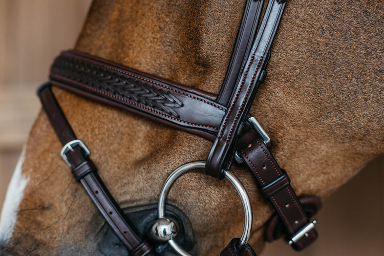 Plaited leather bridle for horses