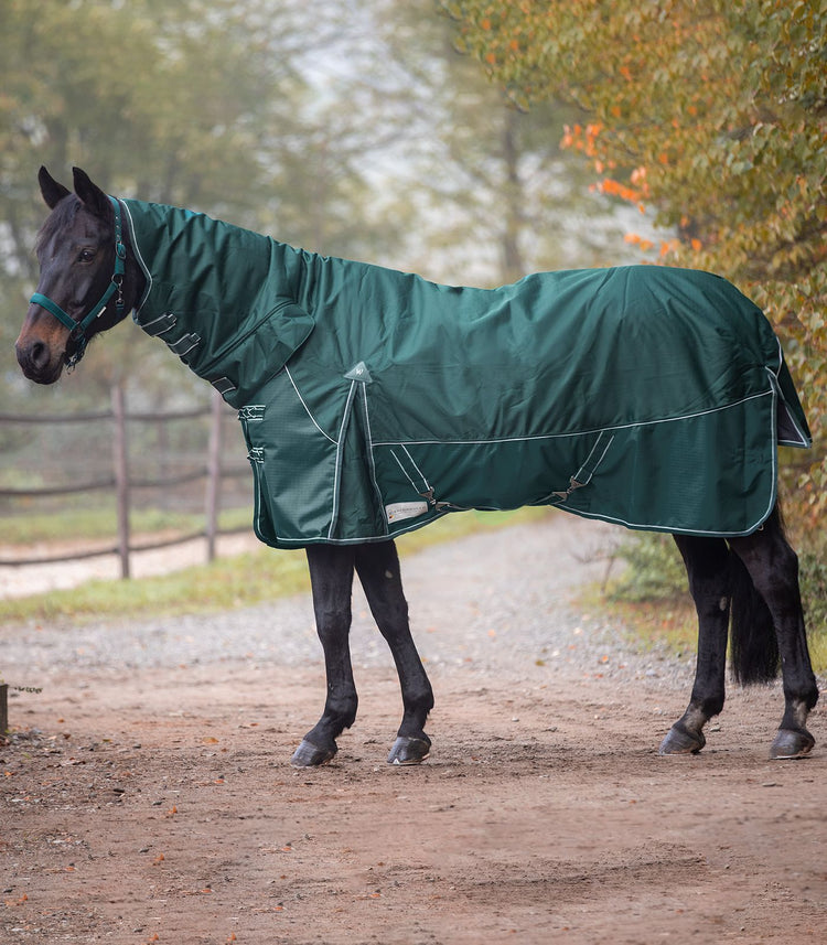 Warm turnout rug with fixed neck