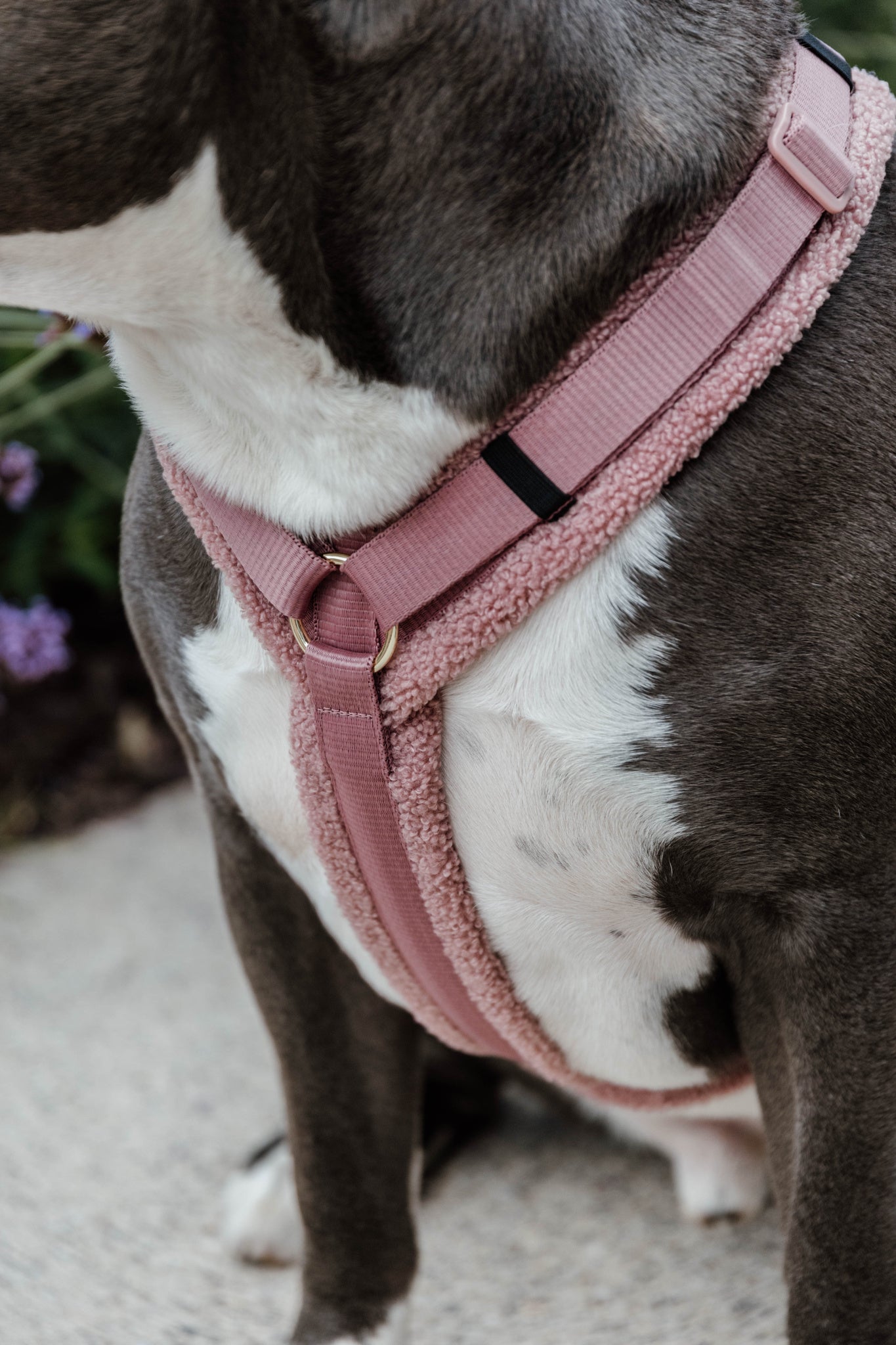 Fleece dog clearance harness