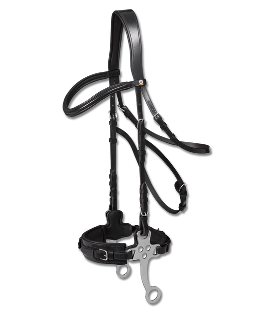 Affordable hackamore bridle