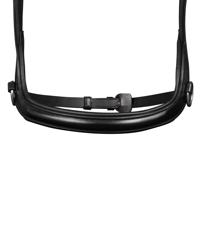 Side pull bitless bridle