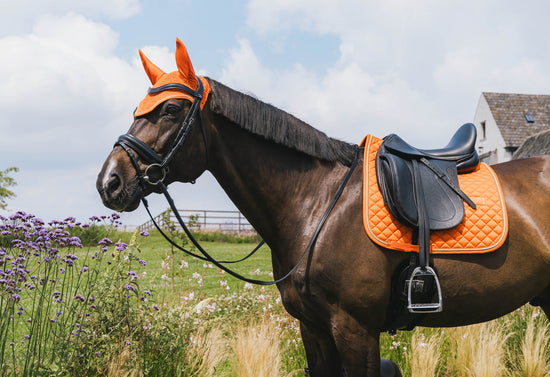 Orange matching horse set