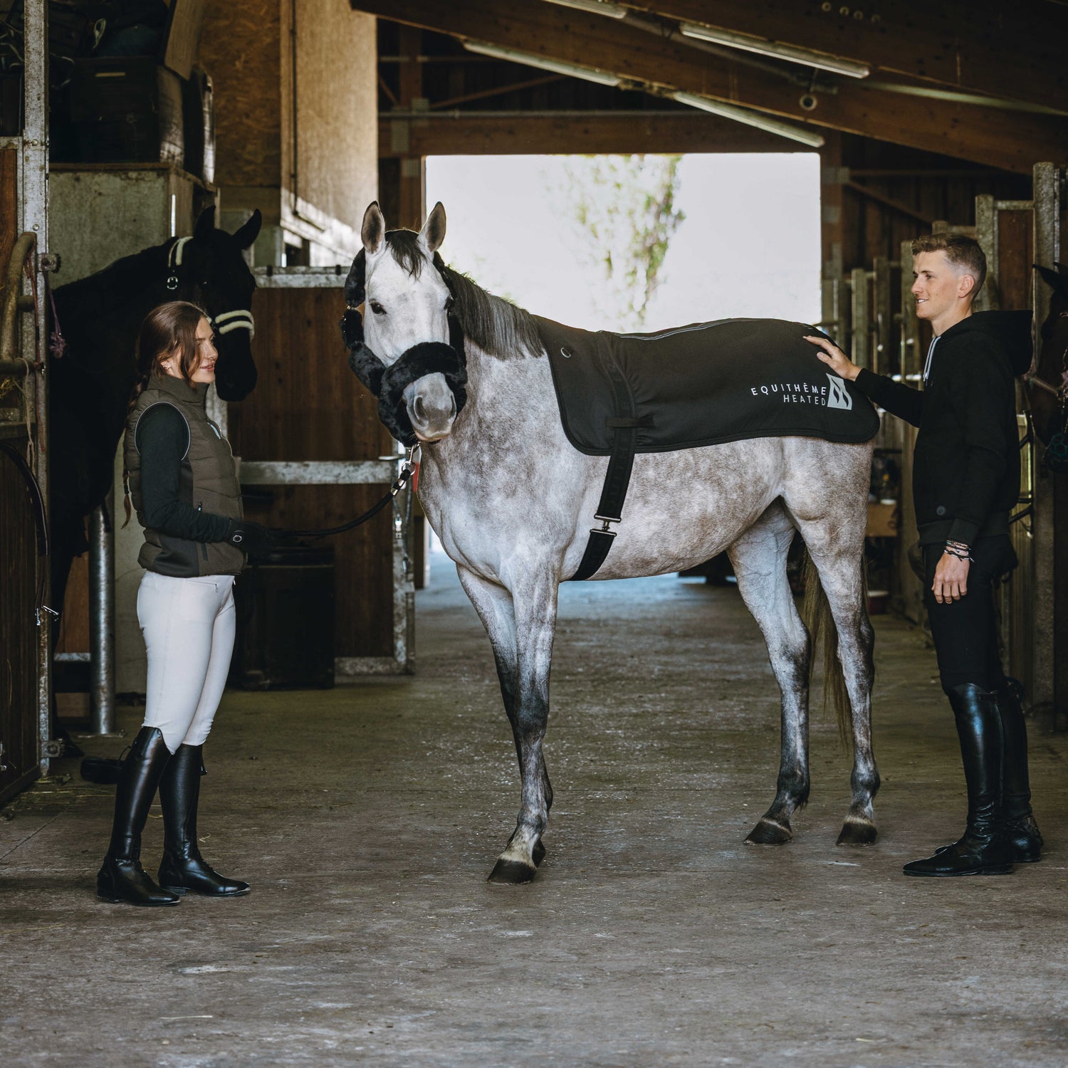 Therapy rug for horses muscles